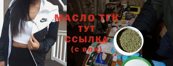 apvp Богородск