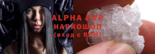 гашик Белокуриха