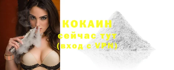 гашик Белокуриха