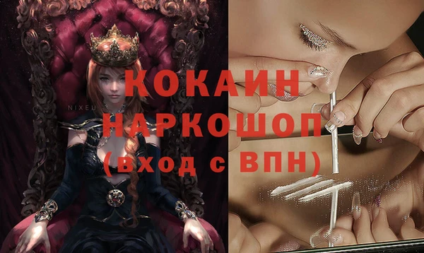 кокс Богородицк