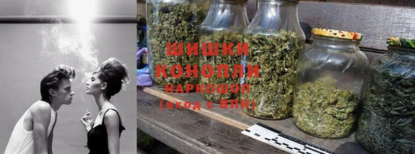 apvp Богородск